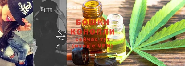 дмт Белокуриха