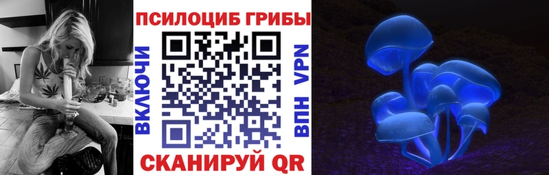Галлюциногенные грибы Cubensis  OMG ссылка  Николаевск 